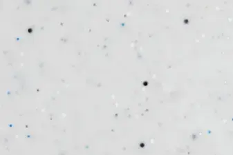 Arctic-White-1.webp