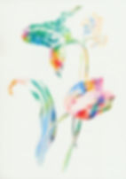 Tulip III 09_18_ulrikebultmann_VGBild-Ku