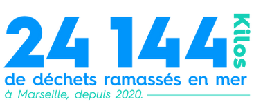 [mer-Veille]Site-picto_Ramassage-en-mer.png