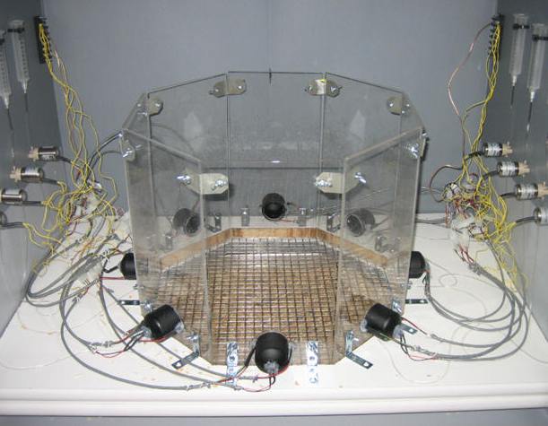 8-Choice SMC Operant Chamber