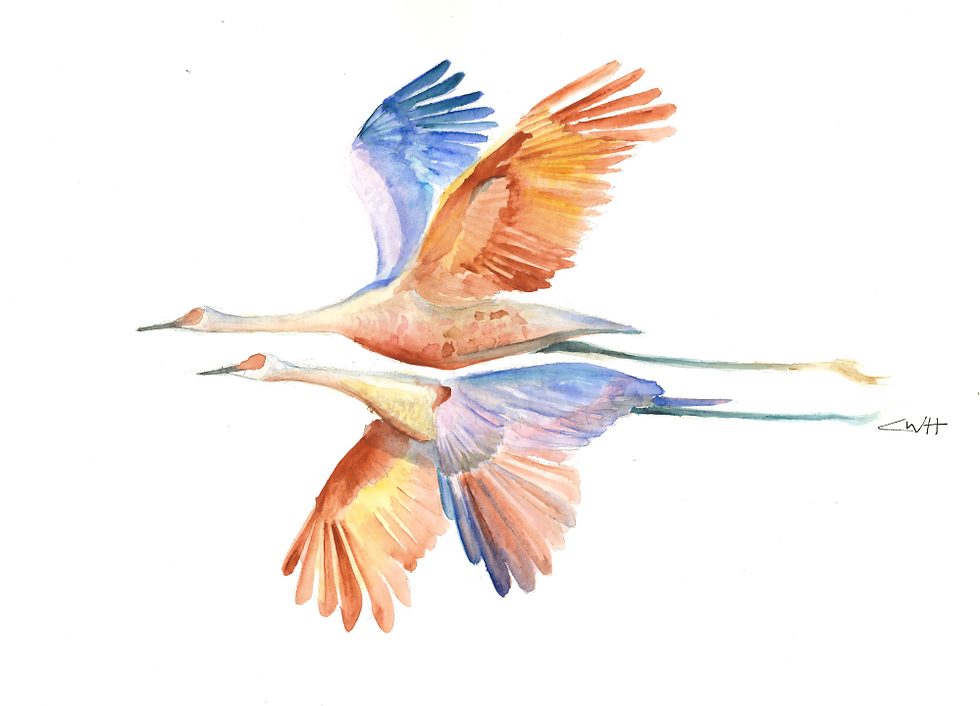 cranecomp