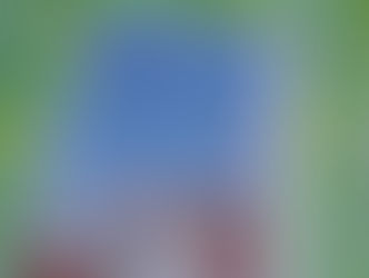 「パレスチナ展」レポート