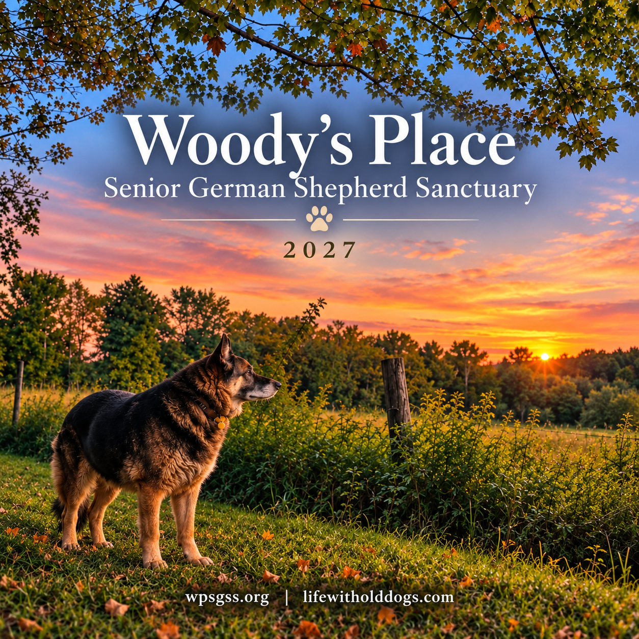 Woody's Place 2027 Wall Calendar