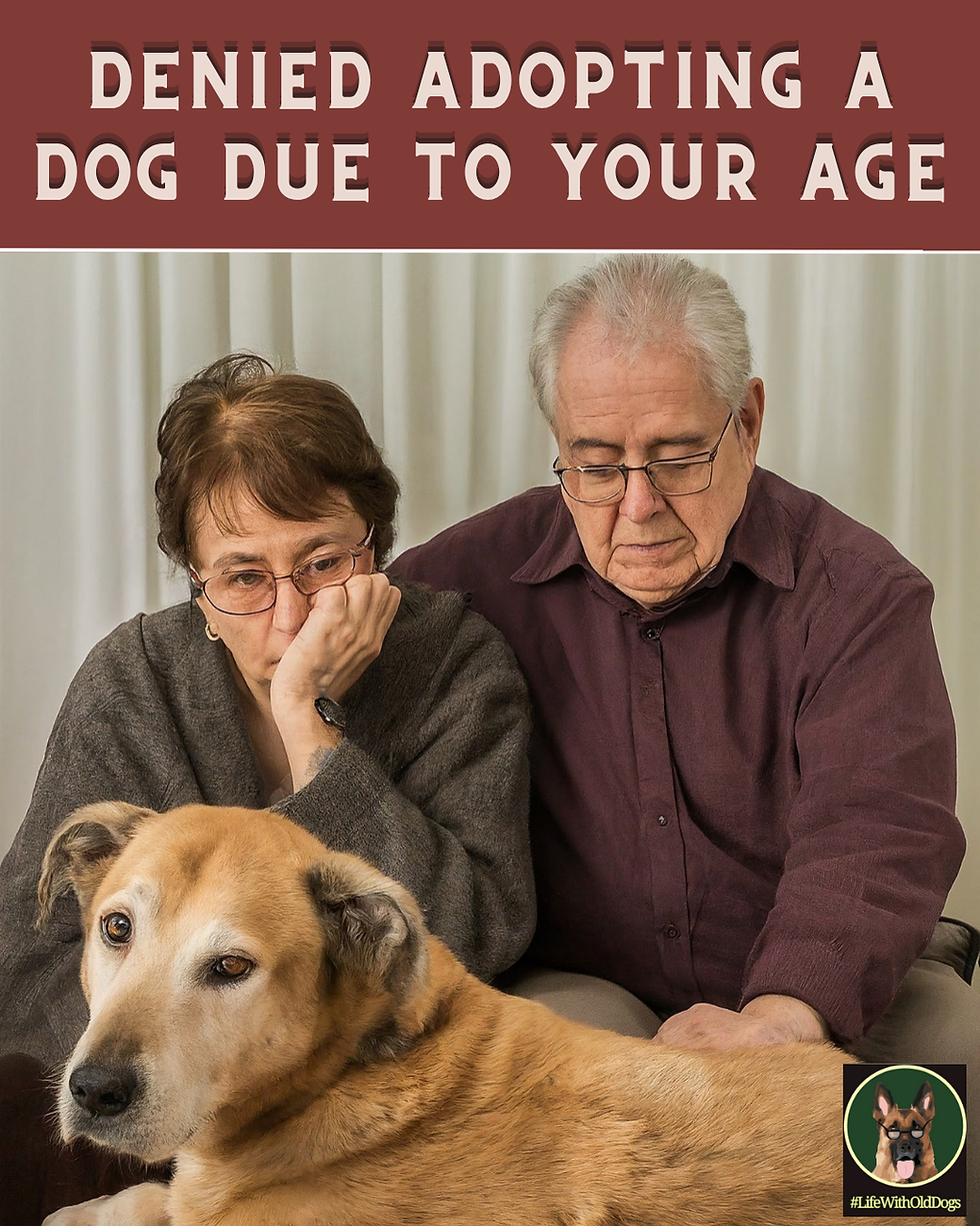 Older People Unhappy About Dog Adoption Denial