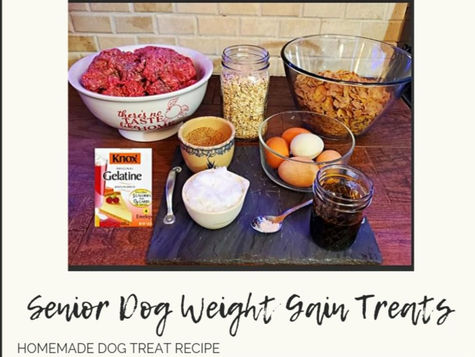 Weight Gain Treats For Senior Dogs