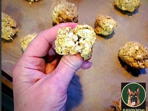 Chicken Nuggets for Dogs. Homemade Snack Recipe