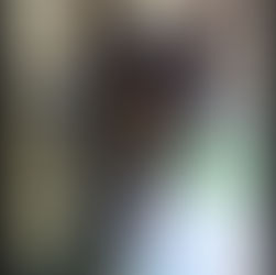 Cancer and Your Older German Shepherd|The Older He Gets, The Greater The Risk