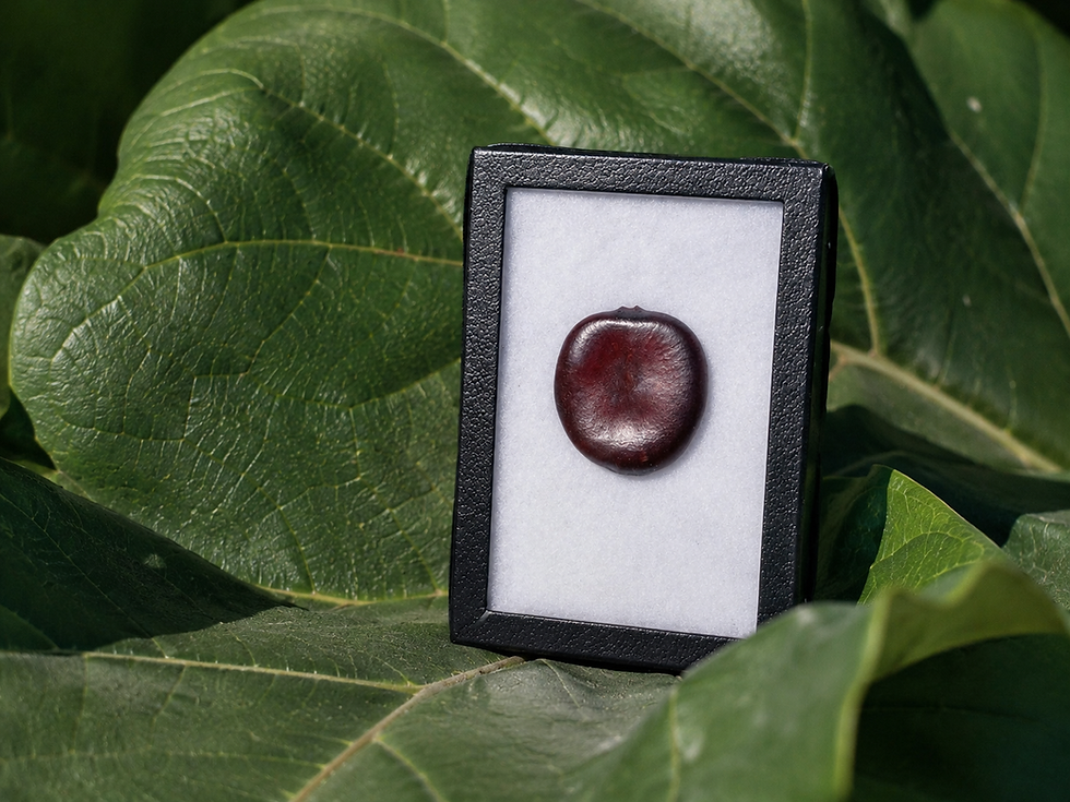 Collector box seed close up