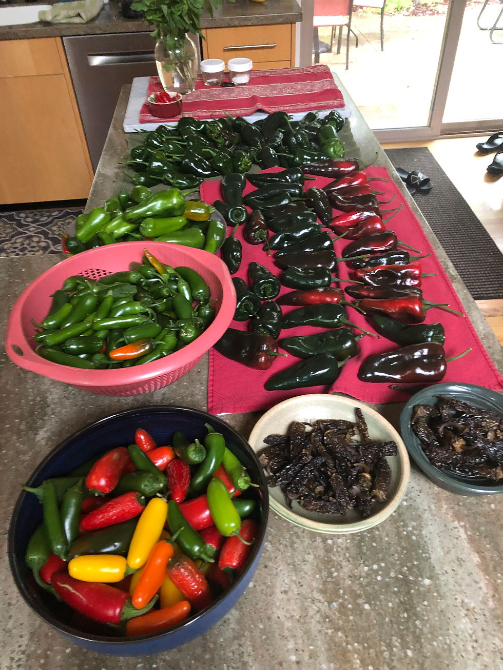 chili poblano jalapeno