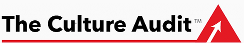 Culture Audit