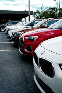 Sport Cars by Dummy Bird