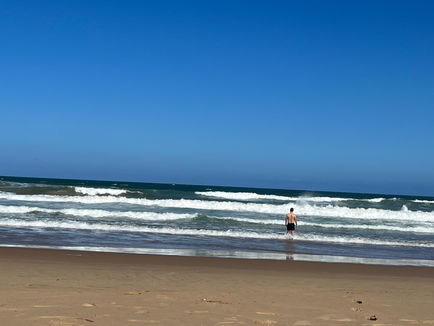 Vom Krüger bis nach Durban