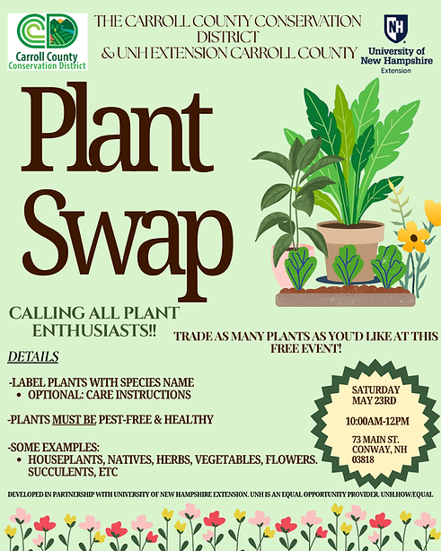 Plant Swap (4).png