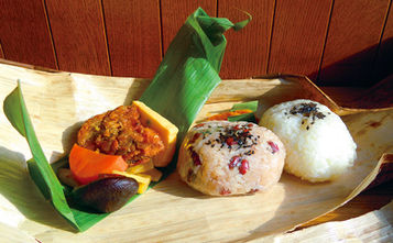 [九州]  SL人吉火車便當