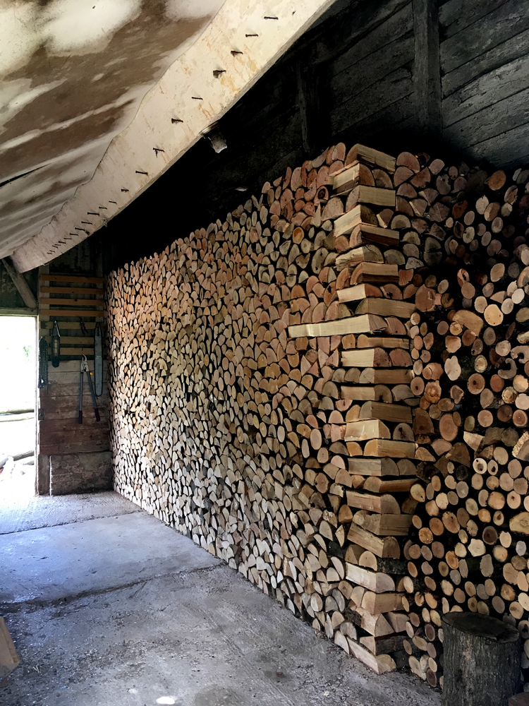 Do Seasoned Logs Burn for Longer...?