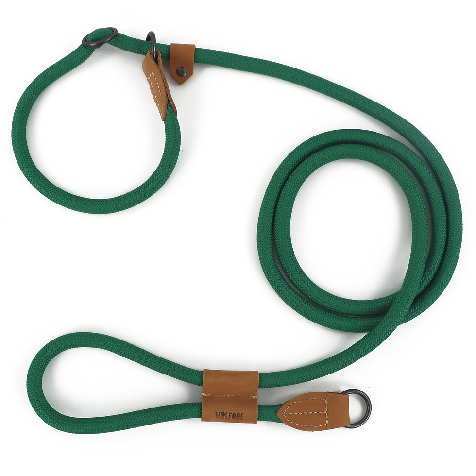 Thumbnail: Hands-Free Dog Leash