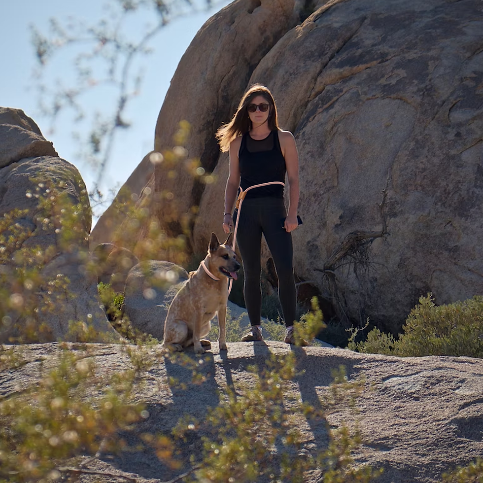 Thumbnail: Hands-Free Dog Leash