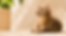 ChatGPT Image 20 de jun. de 2026, 17_51_46.png