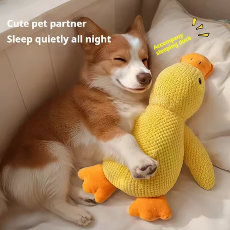 Thumbnail: Duck dog toy plush chew resistant durable dog toy with quacking sound teeth grin