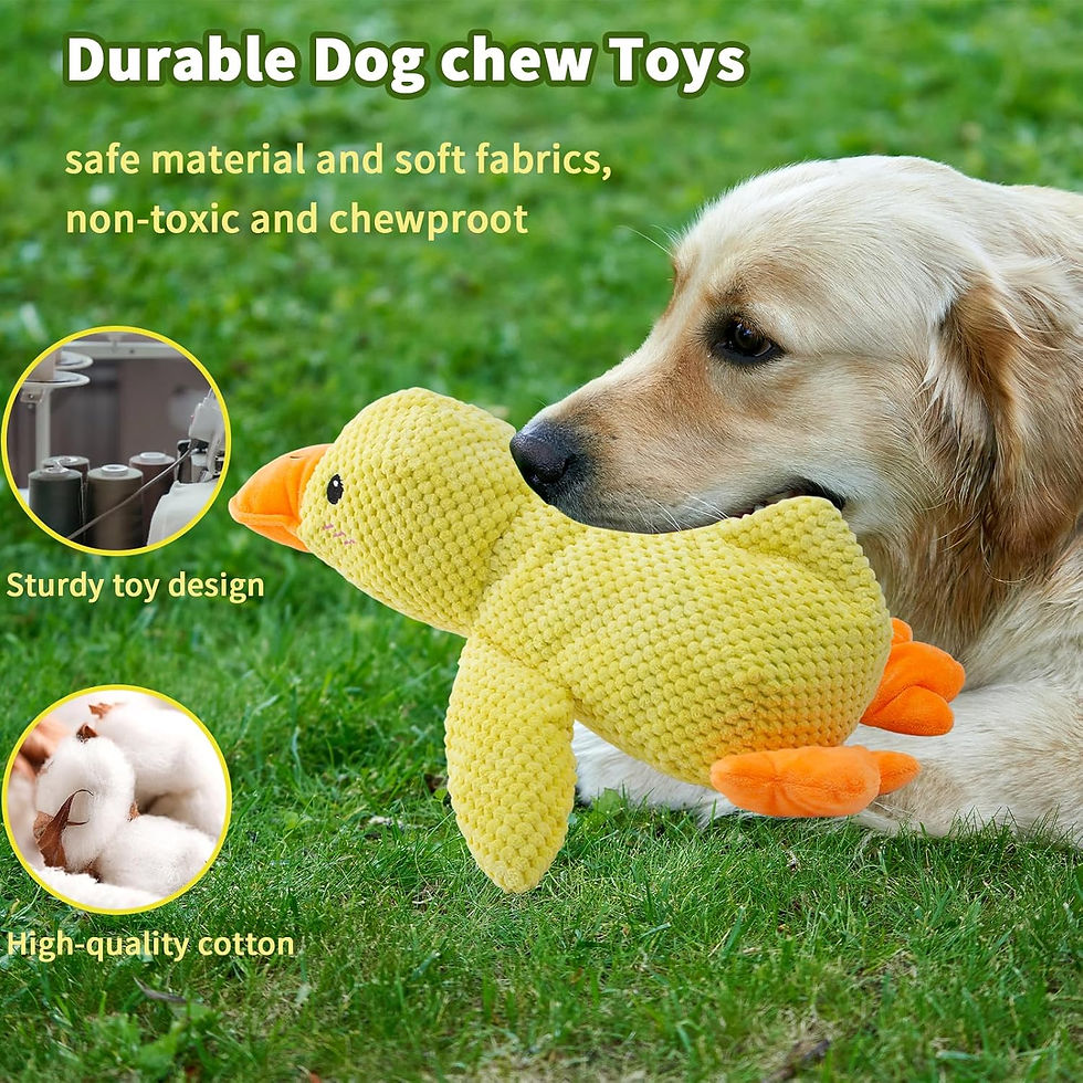 Thumbnail: Duck dog toy plush chew resistant durable dog toy with quacking sound teeth grin