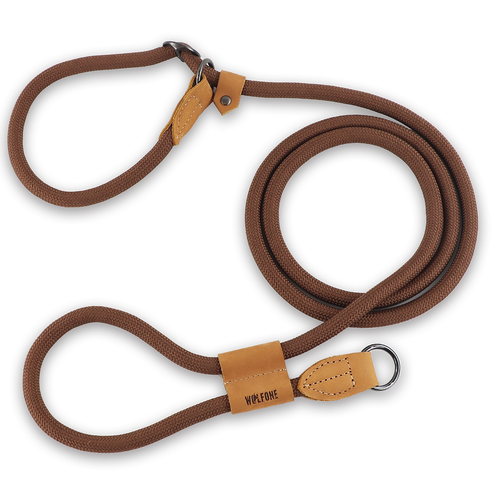 Thumbnail: Hands-Free Dog Leash