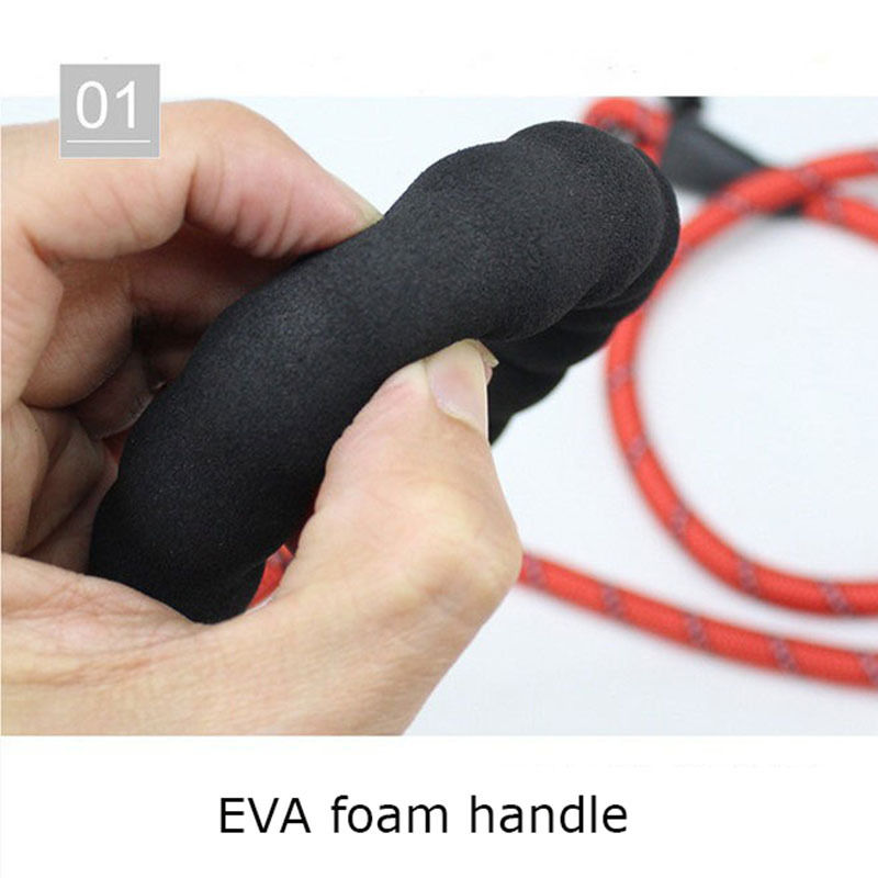 Thumbnail: Reflective Dog Leash