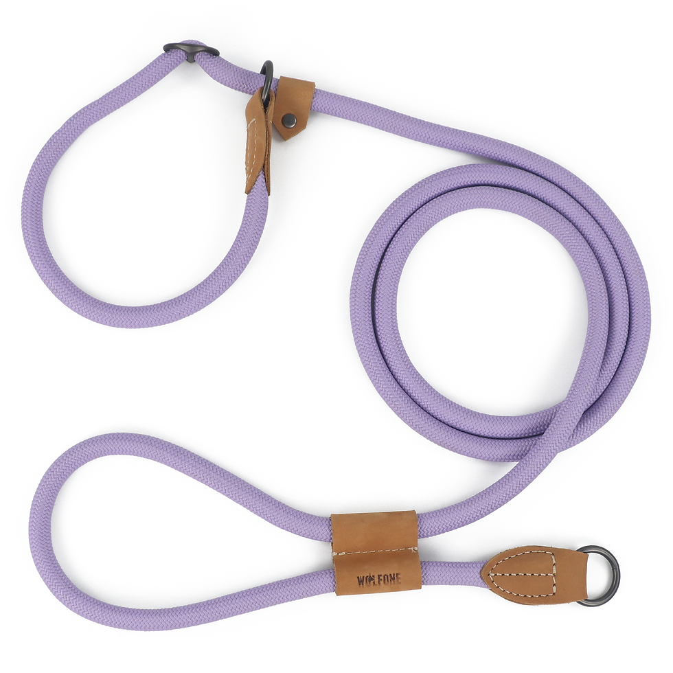 Thumbnail: Hands-Free Dog Leash
