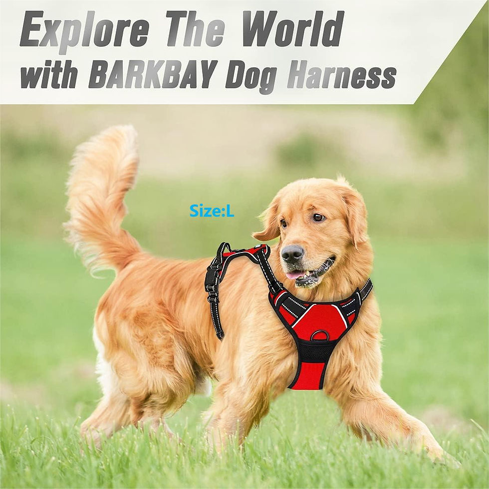 Thumbnail: Adjustable No-Pull Dog Harness