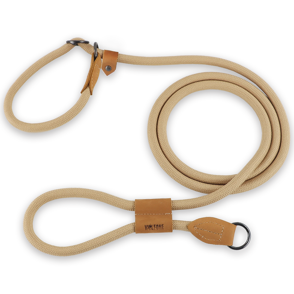 Thumbnail: Hands-Free Dog Leash