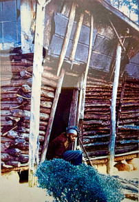 Beverly Buchanan, Impermanences. Frac Lorraine