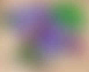 Beverly Buchanan, Impermanences. Frac Lorraine