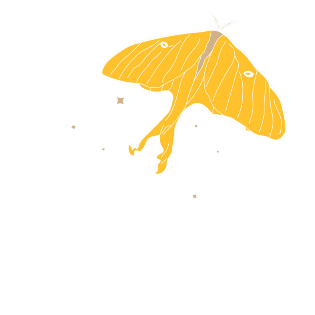 Untitled design (1).gif