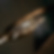 Screenshot 2026-06-24 at 7.30.51 PM.png