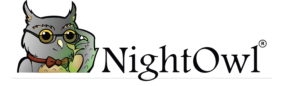 NightOwl legacy product logo