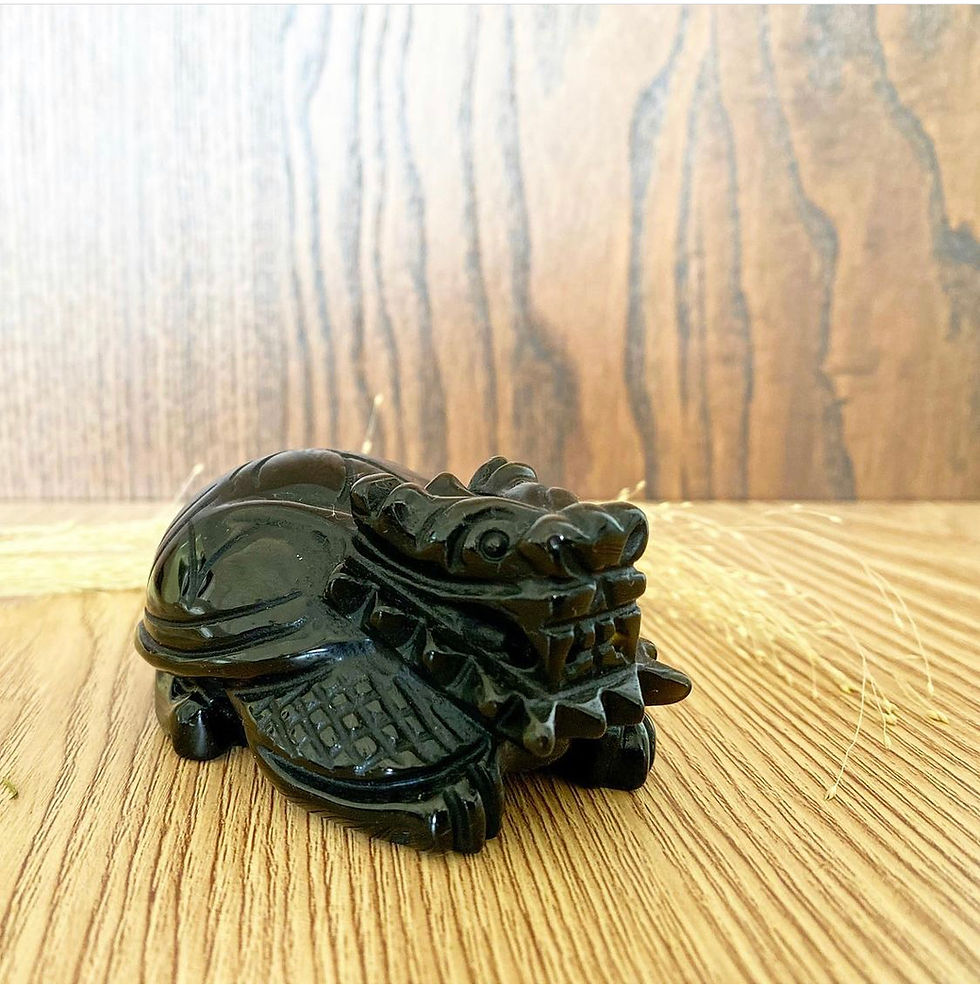 Thumbnail: 金曜龍龜一對(Sinosaurosphargis with Obsidian Quartz)．