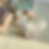 Thumbnail: 糖果系瑩石天鵝一對