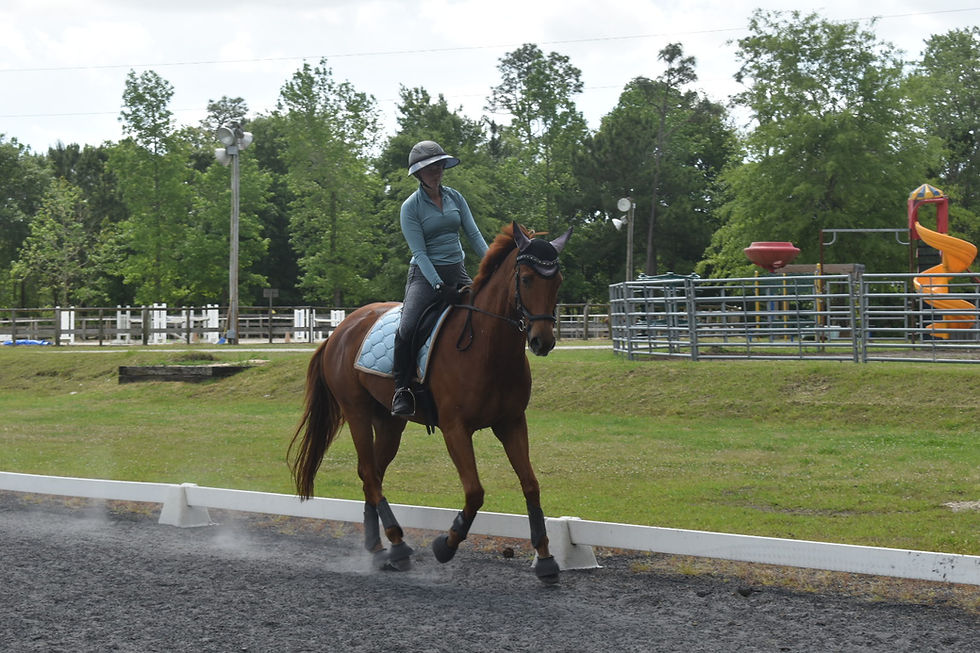 Dressage Tests Webinar
