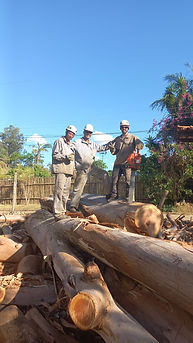 WhatsApp Image 2023-10-21 at 19.04.06 (2).jpeg