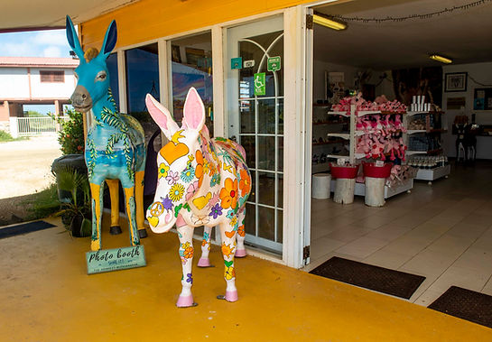 DSB store 005.jpg