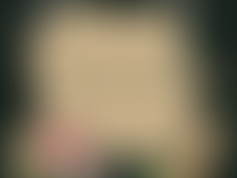 Dreams for Green: Sustainable Fashion