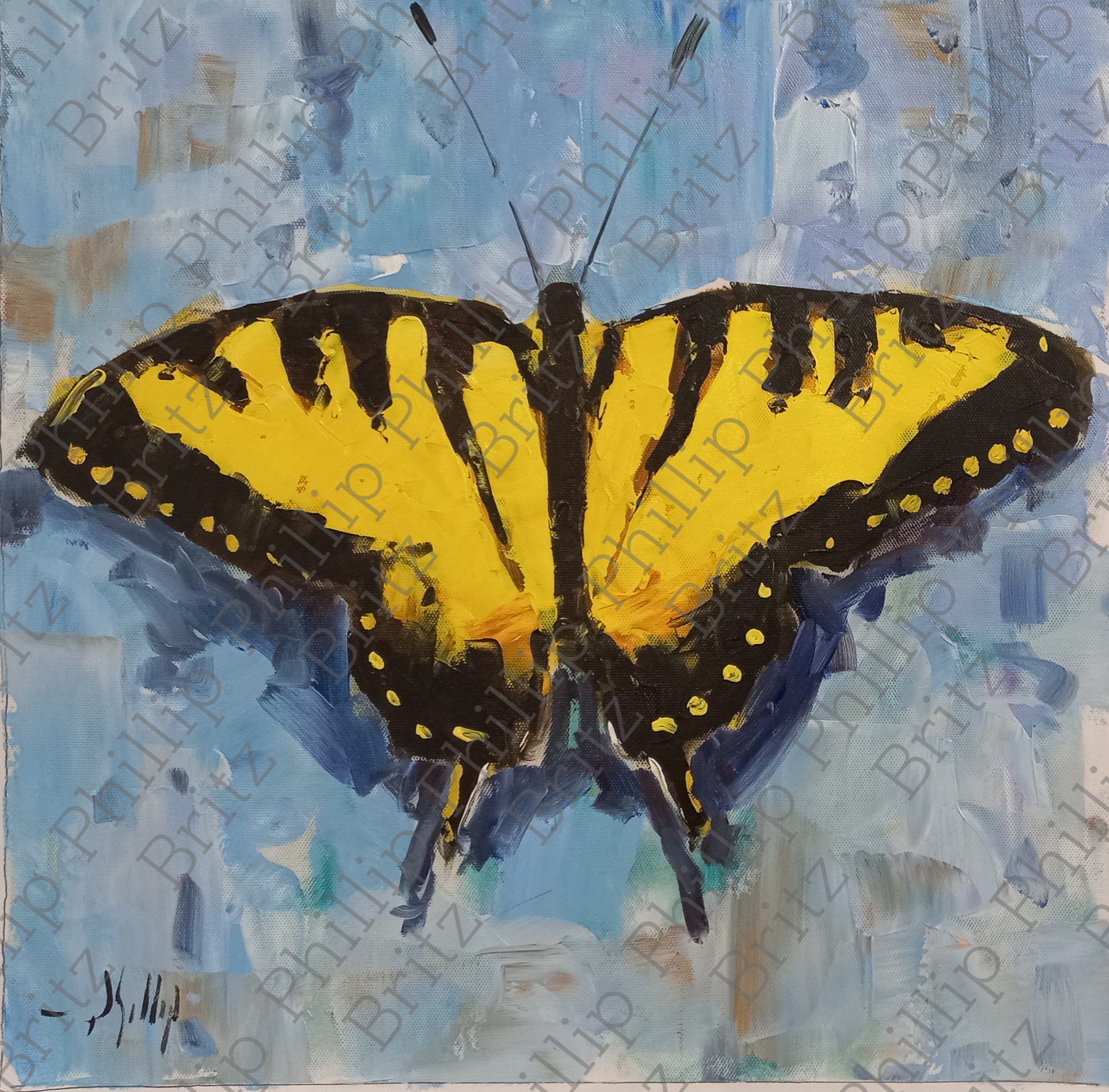 Butterfly