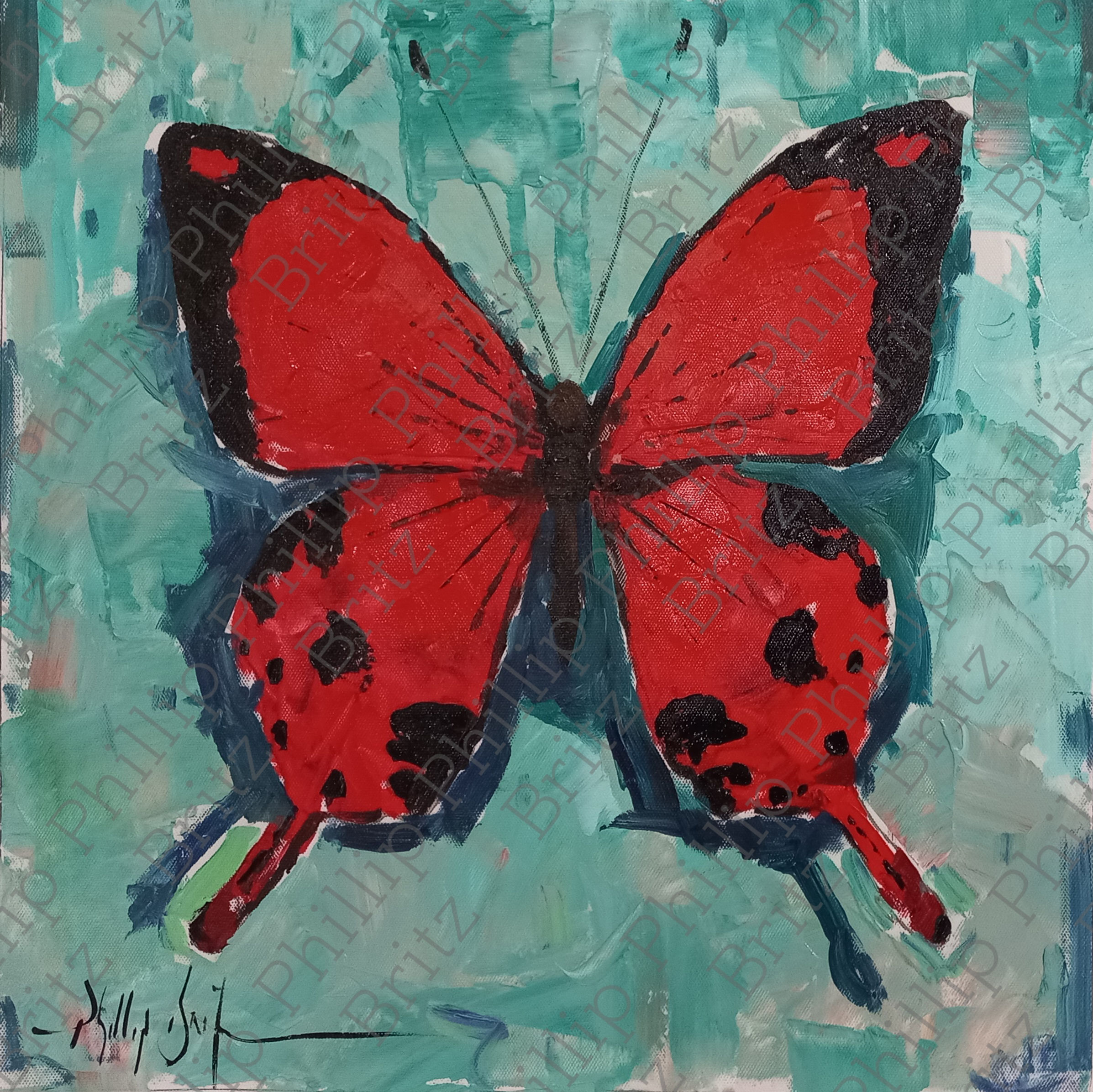 Butterfly