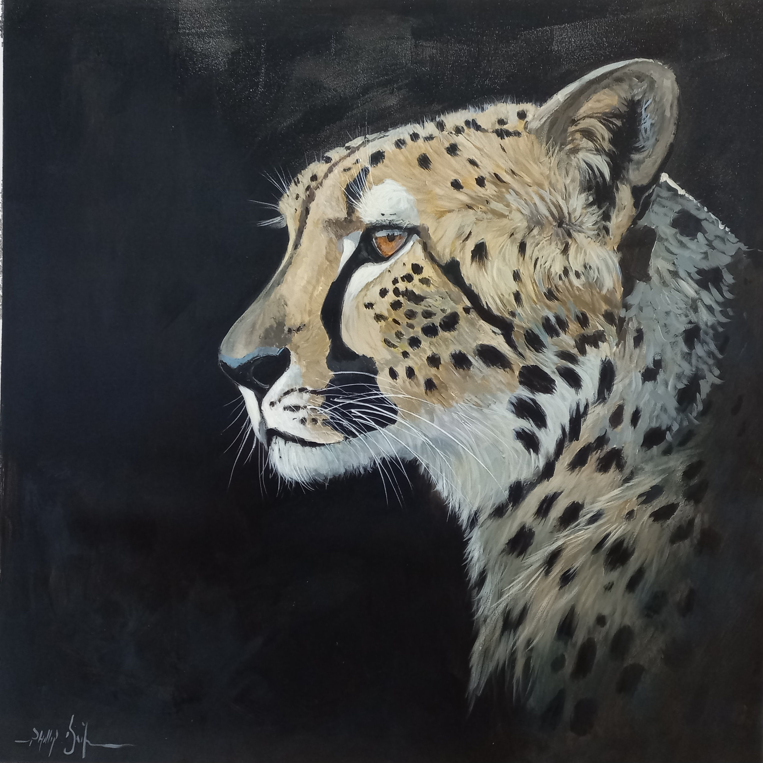 Cheetah 70x70cm