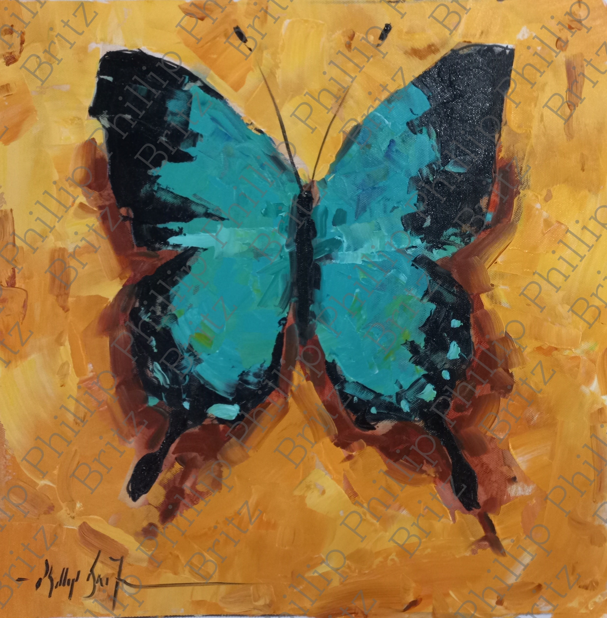 Butterfly - Framed