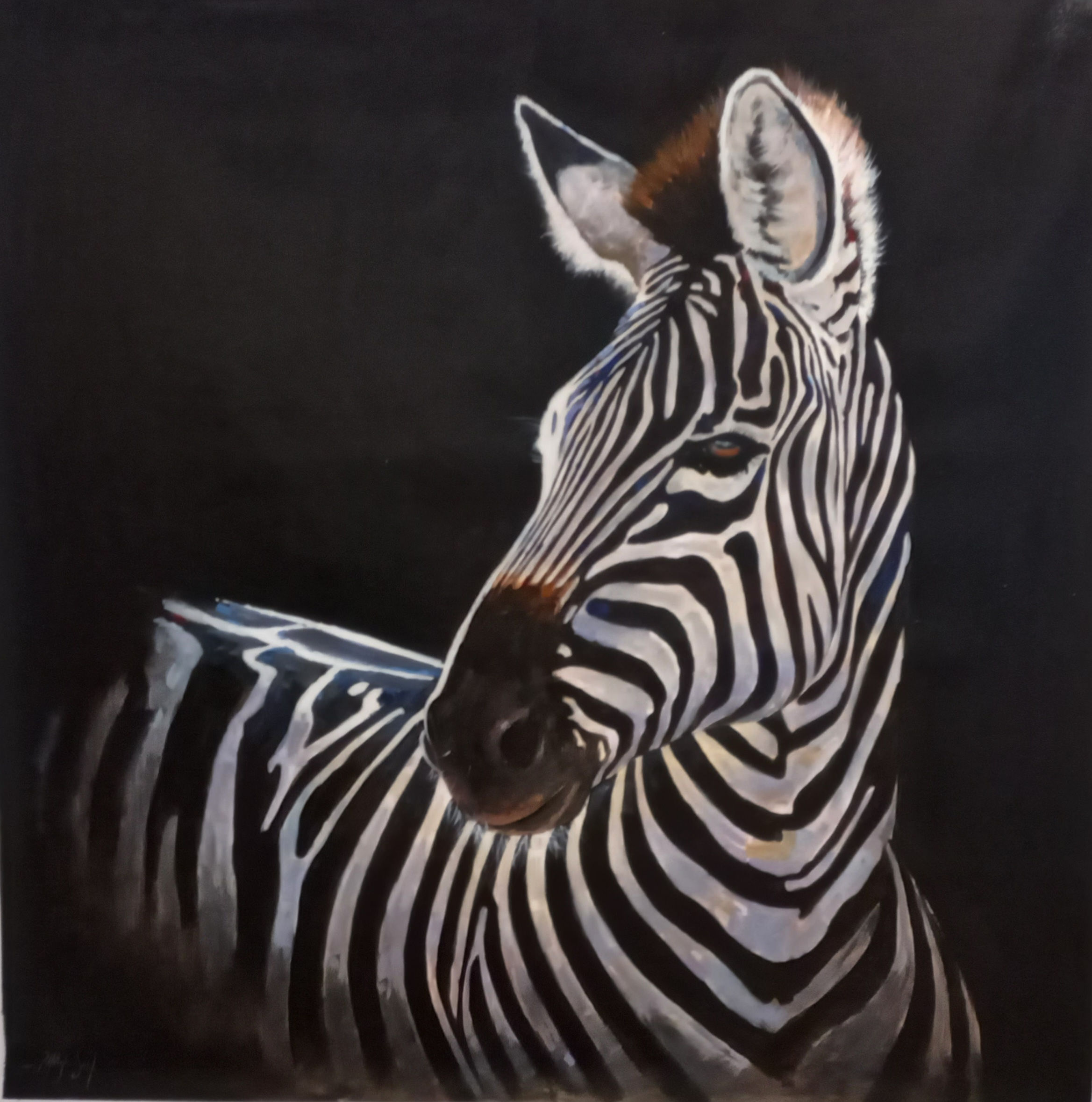Zebra 1.2x1.2m