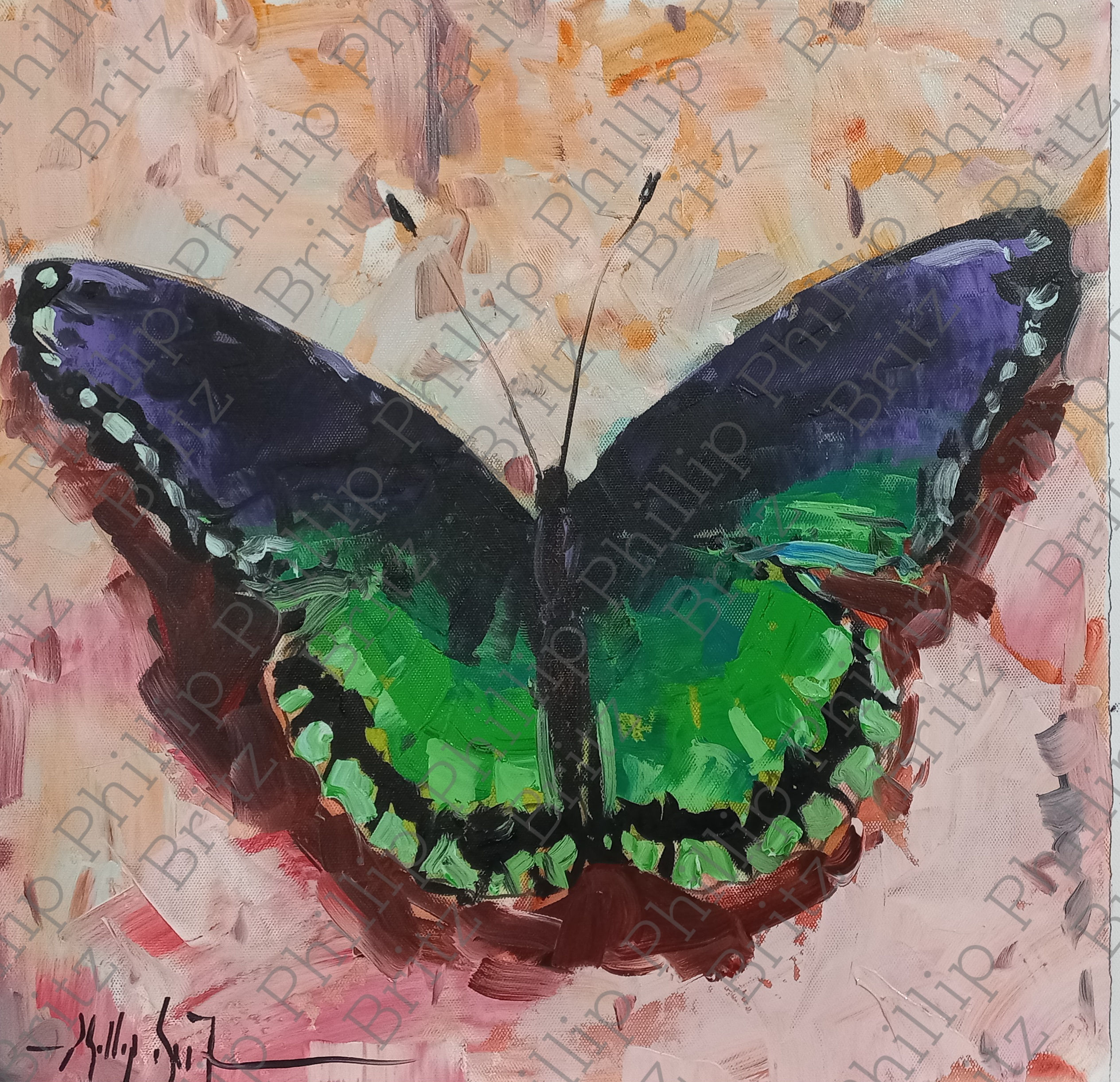 Butterfly