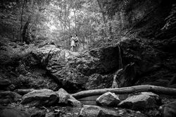 Patapsco Park Engagement and Wedding Photographer