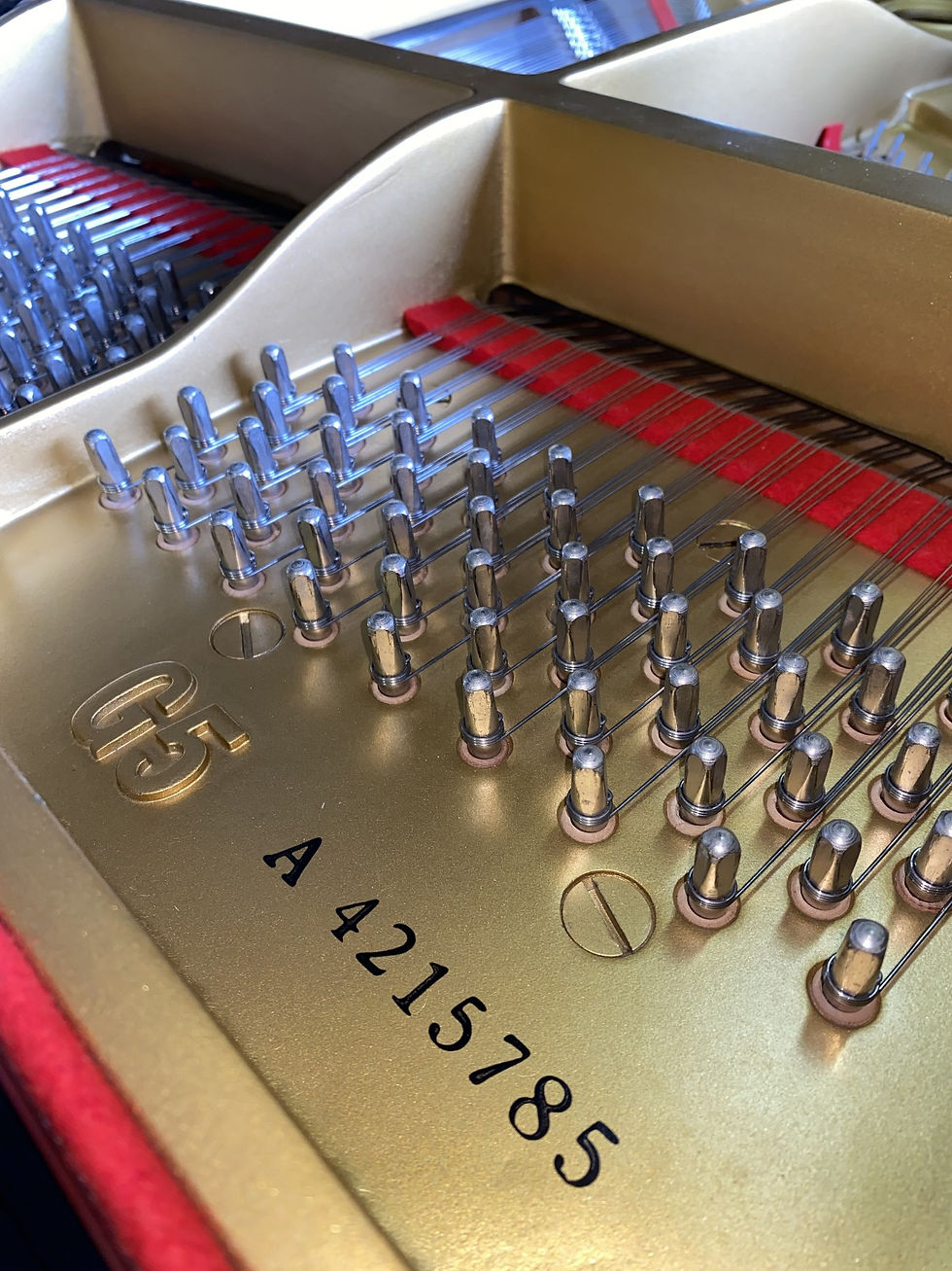 Thumbnail: Yamaha G5