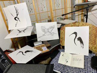 Sandhill Crane - sketches