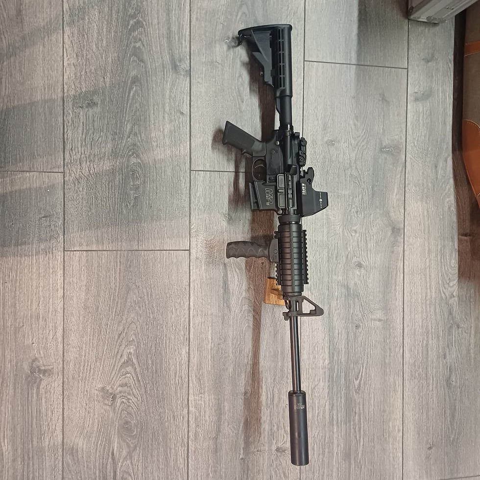 Miniature : CARABINE SMITH ET WESSON MP15 SPORT II CAL CAL 223 REM CAT B4